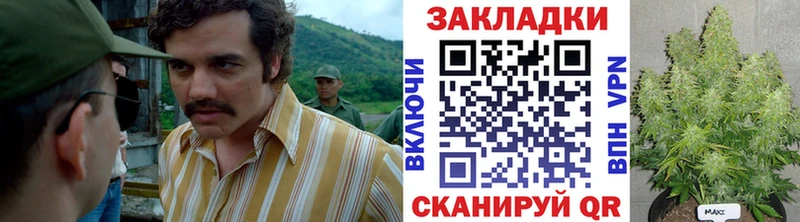 Виды наркоты Снежногорск АМФ hydra вход Cocaine Гашиш МАРИХУАНА Меф мяу мяу