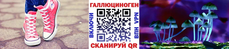 гидра ссылка  где купить наркотик  Снежногорск  Галлюциногенные грибы GOLDEN TEACHER 