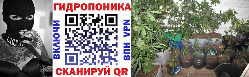 Бошки Шишки AK-47 Снежногорск