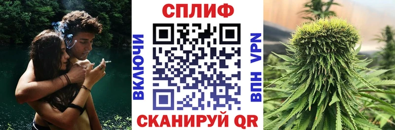 Марихуана план  сколько стоит  Снежногорск 